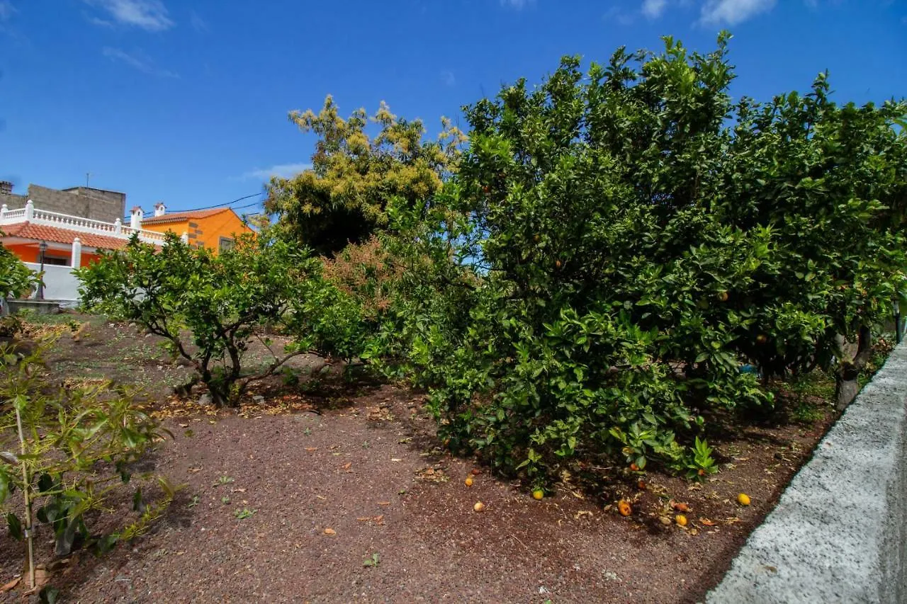 Casa Marjoes - 2 Villas - Bbq - Communal Pool Moya  Holiday home Moya (Gran Canaria)